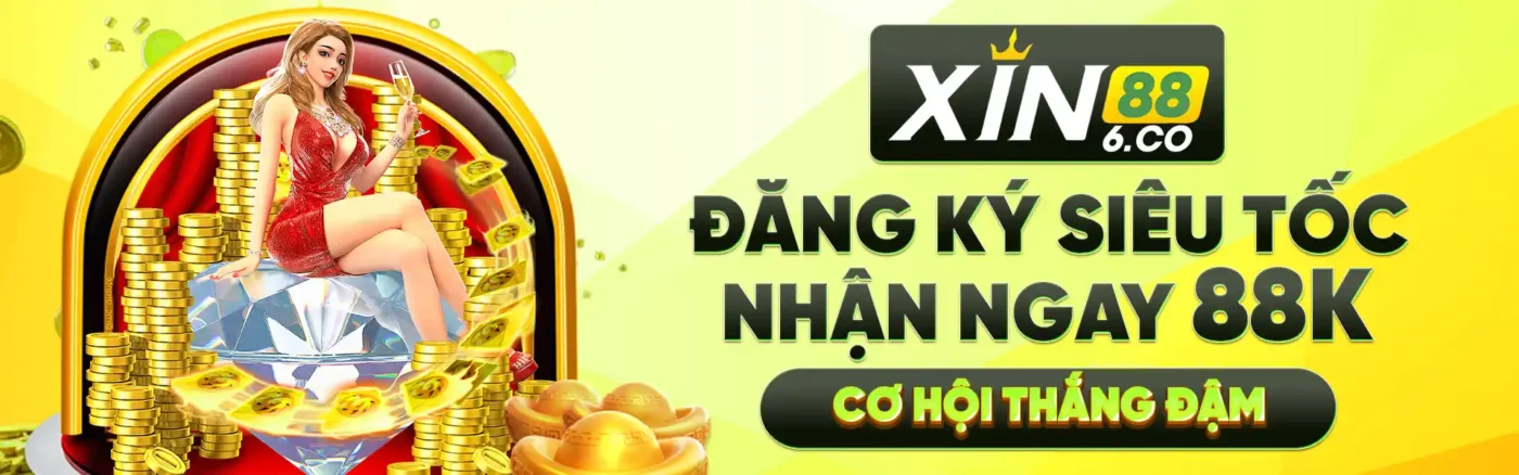 baner-xin88