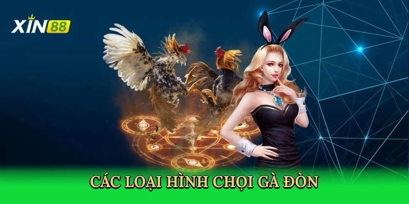 cac-loai-hinh-choi-ga-don-4