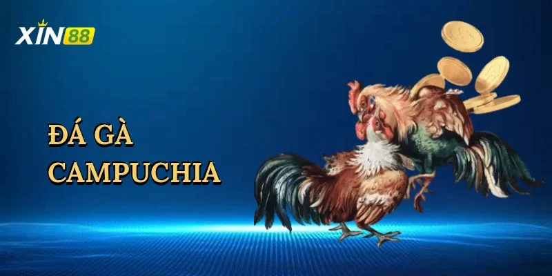 da-ga-campuchia-1