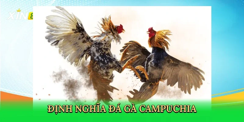 dinh-nghia-da-ga-campuchia-2