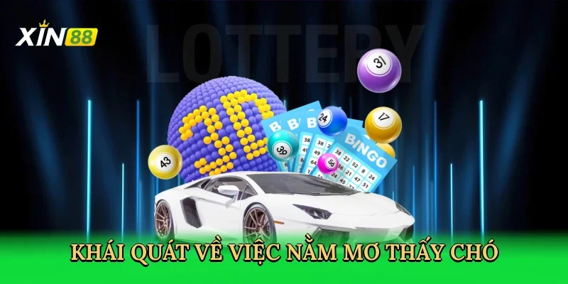 khai-quat-ve-viec-nam-mo-thay-cho