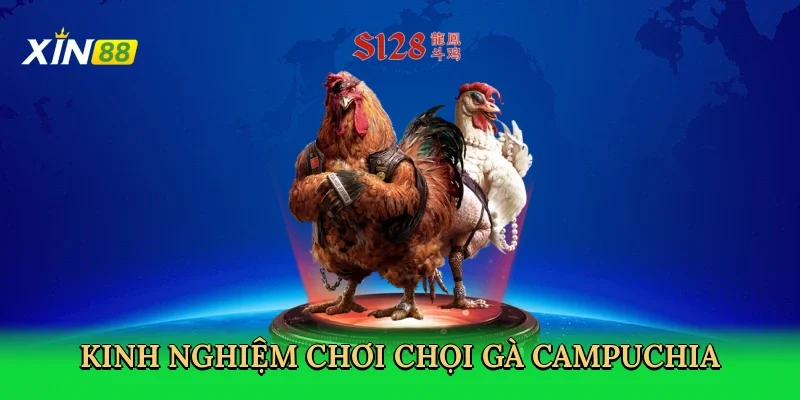 kinh-nghiem-choi-choi-ga-campuchia-4