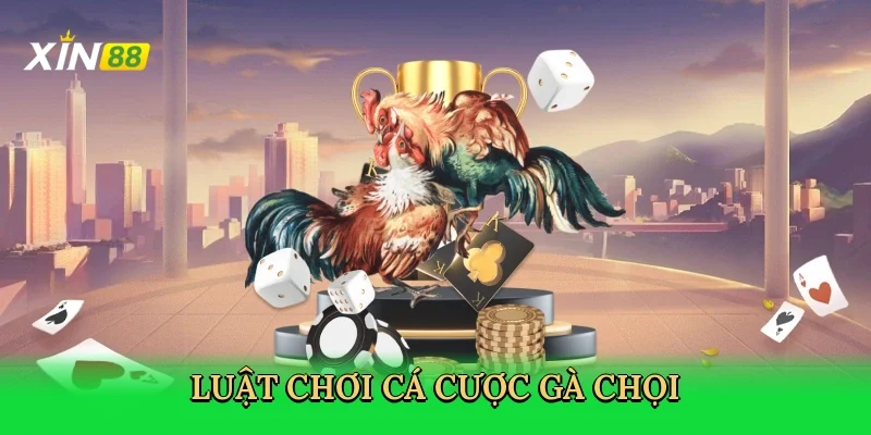 luat-choi-ca-cuoc-ga-choi-3