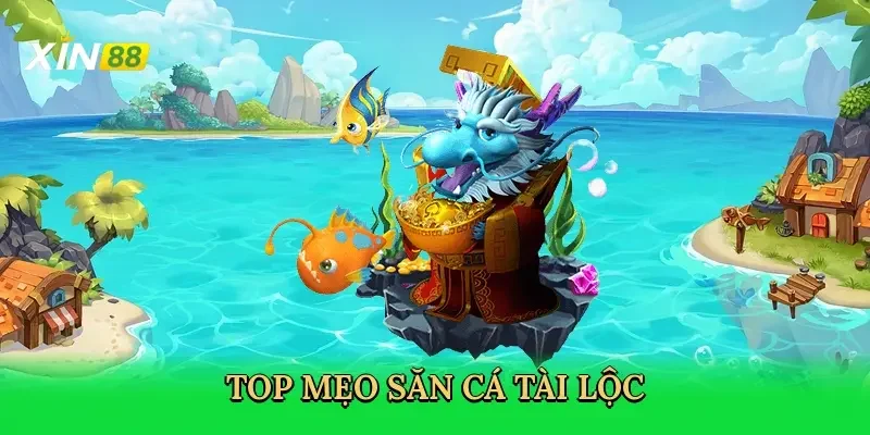 top-meo-san-ca-tai-loc-4