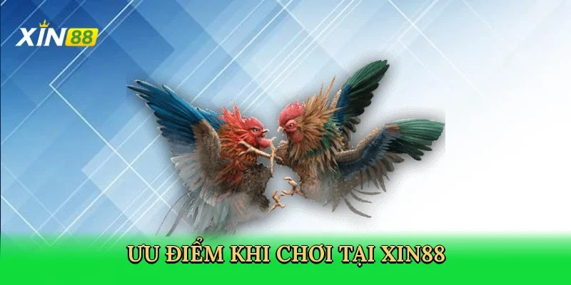 uu-diem-khi-choi-tai-xin88-3