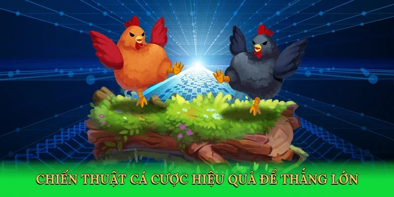 Chiến thuật cá cược hiệu quả để thắng lớn