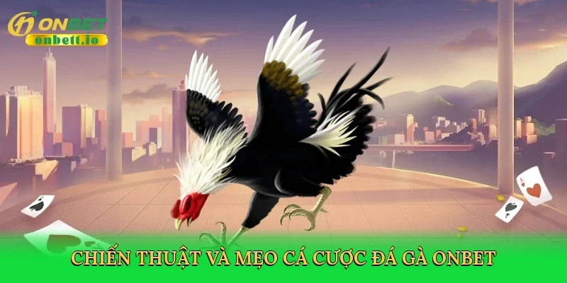 Chiến thuật và mẹo cá cược đá gà Onbet