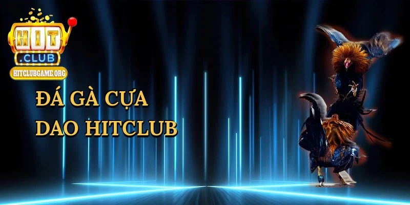 da-ga-cua-dao-hitclub-1