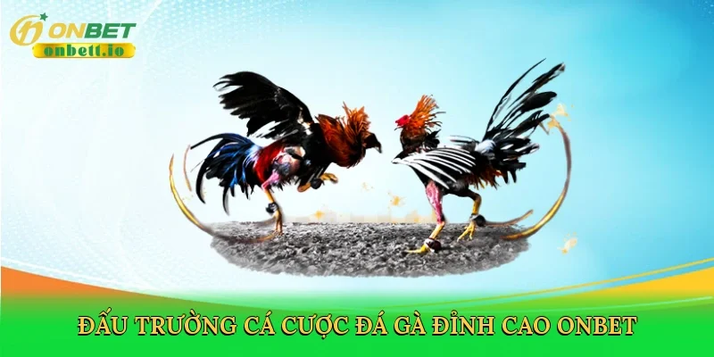 Đấu trường cá cược đá gà đỉnh cao Onbet