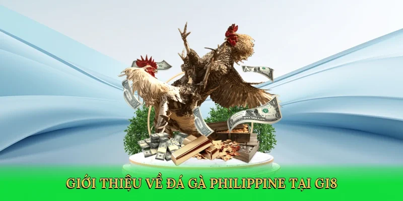 Giới thiệu về Đá gà Philippine tại GI8
