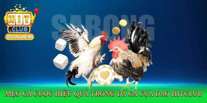 meo-ca-cuoc-hieu-qua-trong-da-ga-cua-dao-hitclub-4
