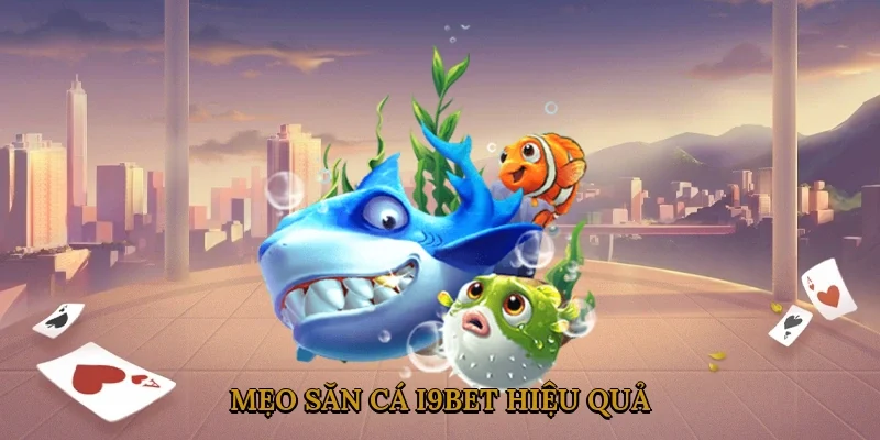 meo-san-ca-i9bet-hieu-qua-1