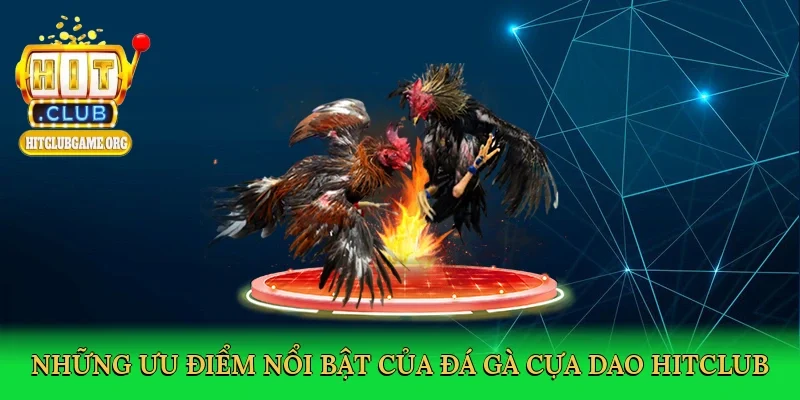 nhung-uu-diem-noi-bat-cua-da-ga-cua-dao-hitclub-3
